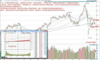 創(chuàng)業(yè)板類型的創(chuàng)新公司