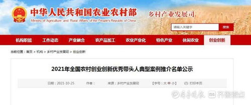 帶頭人,事跡,農(nóng)村,優(yōu)秀