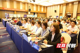 比賽,創(chuàng)新,創(chuàng)業(yè),雨花區(qū)