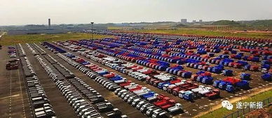 中韓創(chuàng)新創(chuàng)業(yè)園資陽(yáng)基地