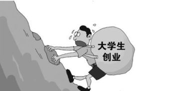 創(chuàng)業(yè)項目,原因,創(chuàng)新,選擇