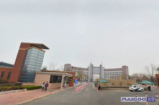 濱州,學(xué)院,創(chuàng)新,創(chuàng)業(yè)