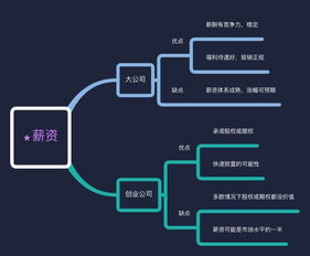 創(chuàng)新創(chuàng)業(yè)非選擇題