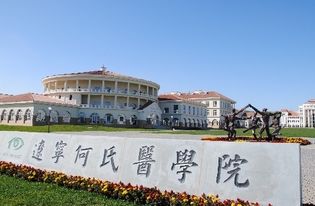 遼寧何氏醫(yī)學院創(chuàng)新創(chuàng)業(yè)獎學金