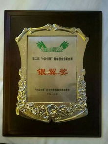 互聯(lián)網(wǎng)創(chuàng)新創(chuàng)業(yè)大賽獎(jiǎng)牌