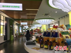 貧困戶,創(chuàng)新,創(chuàng)業(yè),中心