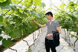 成都紅珊瑚農(nóng)業(yè)創(chuàng)新創(chuàng)業(yè)