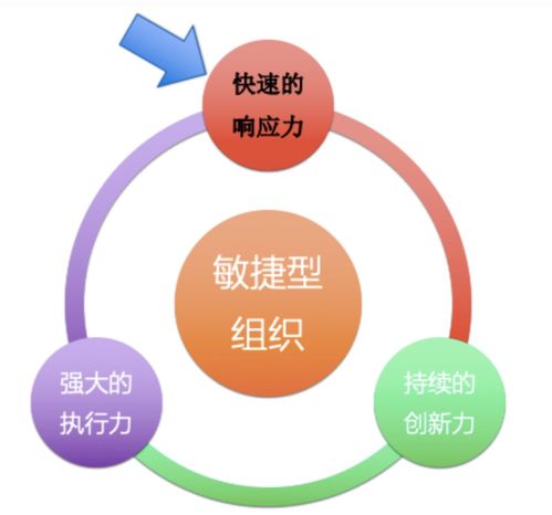 分工,團(tuán)隊(duì),創(chuàng)新,創(chuàng)業(yè)