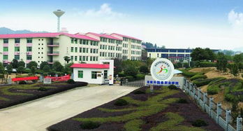 湖南工藝美術(shù)職業(yè)學(xué)院創(chuàng)新創(chuàng)業(yè)學(xué)院,湖南藝術(shù)職業(yè)學(xué)院創(chuàng)業(yè)創(chuàng)新,山東職業(yè)學(xué)院創(chuàng)新創(chuàng)業(yè)