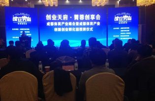 成都雙流創(chuàng)新創(chuàng)業(yè)企業(yè)服務有限公司,創(chuàng)新創(chuàng)業(yè)企業(yè)計劃書,創(chuàng)新創(chuàng)業(yè)企業(yè)案例