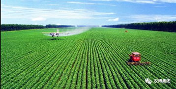 柞樹(shù)創(chuàng)新創(chuàng)業(yè)案例