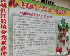 貧困戶,提案,創(chuàng)新,創(chuàng)業(yè)