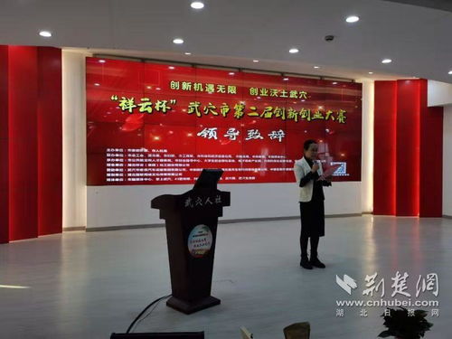 武穴人社局創(chuàng)新創(chuàng)業(yè)總結(jié)