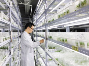 北京市高層次創(chuàng)新創(chuàng)業(yè)人才支持計(jì)劃,江蘇省高層次創(chuàng)新創(chuàng)業(yè)人才,廊坊市引進(jìn)高層次創(chuàng)新創(chuàng)業(yè)人才暫行辦法