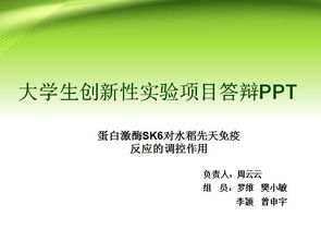 大學(xué)生創(chuàng)業(yè)創(chuàng)新實(shí)驗(yàn)答辯ppt