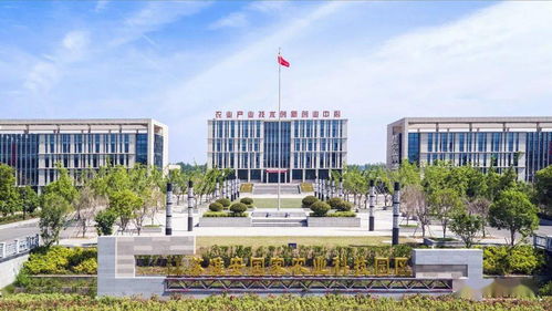 新疆,園區(qū),創(chuàng)新,創(chuàng)業(yè)