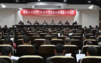 創(chuàng)新,會議,文件,創(chuàng)業(yè)