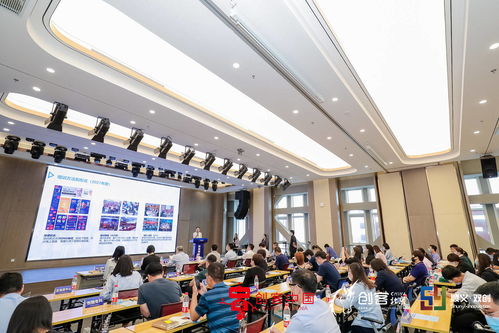 心得體會,創(chuàng)新,創(chuàng)業(yè)