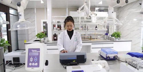 活躍度,落實情況,創(chuàng)新,創(chuàng)業(yè)