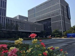 創(chuàng)業(yè)創(chuàng)新對城市的影響