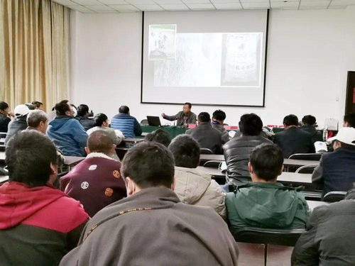 帶頭人,培育,農(nóng)村,創(chuàng)新