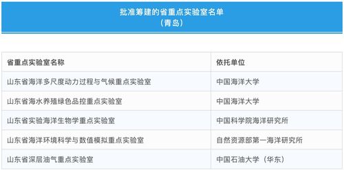 縣級,績效,大賽,目標(biāo)