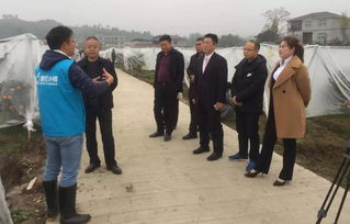 創(chuàng)業(yè)者,創(chuàng)新,協(xié)會