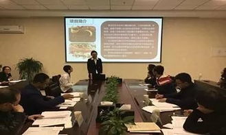 創(chuàng)業(yè)項(xiàng)目,負(fù)責(zé)人,創(chuàng)新