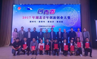 2017黃石創(chuàng)新創(chuàng)業(yè)大賽