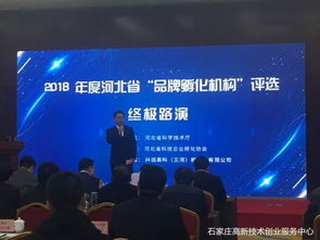 石家莊高新區(qū)創(chuàng)新創(chuàng)業(yè)服務(wù)