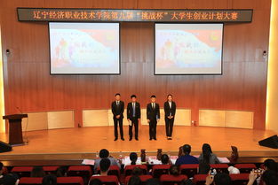 大學(xué)生挑戰(zhàn)杯創(chuàng)新創(chuàng)業(yè)大賽英文