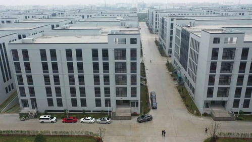 橋鎮(zhèn),眼鏡,創(chuàng)新,創(chuàng)業(yè)