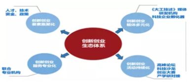 企業(yè)創(chuàng)新創(chuàng)業(yè)載體包括