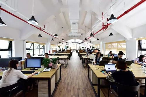 創(chuàng)新,創(chuàng)業(yè),品牌,活動(dòng)