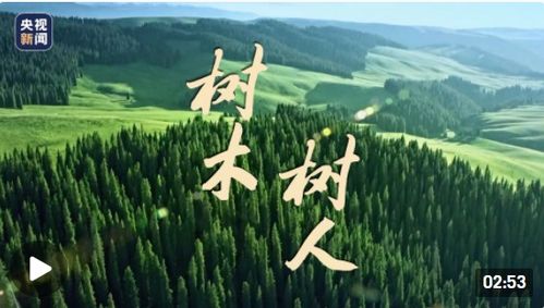 樹人樹木創(chuàng)業(yè)創(chuàng)新