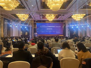 湖南省創(chuàng)新創(chuàng)業(yè)項目