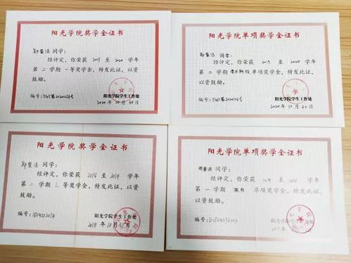 創(chuàng)新創(chuàng)業(yè)類單項獎學(xué)金申請表