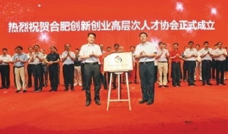 合肥,高層次,創(chuàng)新,協(xié)會(huì)