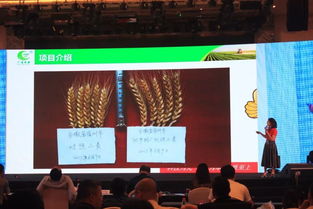 院長,湘南,創(chuàng)新,創(chuàng)業(yè)