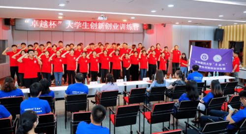 創(chuàng)新,創(chuàng)業(yè),大學(xué)生,卓越