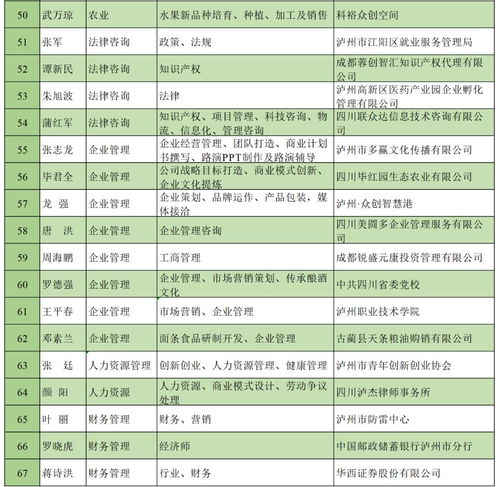 指導(dǎo)老師,評(píng)價(jià),意見,創(chuàng)新