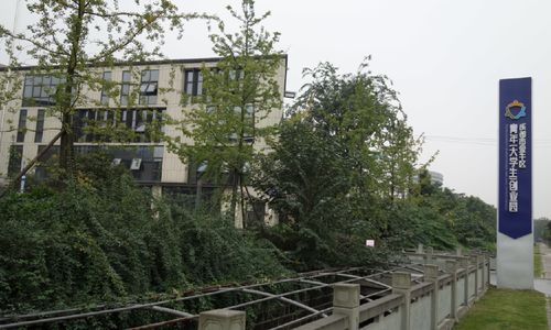 創(chuàng)新創(chuàng)業(yè)中心介紹,上海創(chuàng)新創(chuàng)業(yè)中心,學(xué)生創(chuàng)新創(chuàng)業(yè)中心