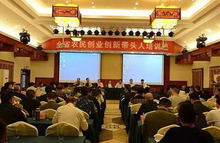 農(nóng)民創(chuàng)業(yè)帶頭人主要事跡,全國農(nóng)村創(chuàng)業(yè)創(chuàng)新優(yōu)秀帶頭人,農(nóng)村創(chuàng)新創(chuàng)業(yè)帶頭人