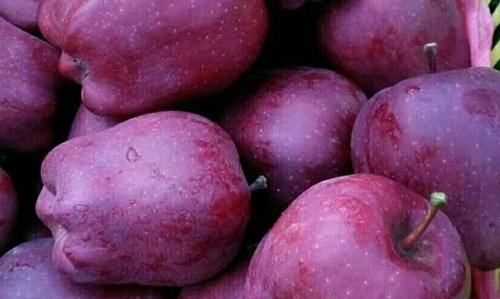 花牛蘋果是蛇果,花牛蘋果和蛇果圖5