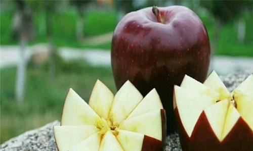 花牛蘋果是蛇果,花牛蘋果和蛇果圖6