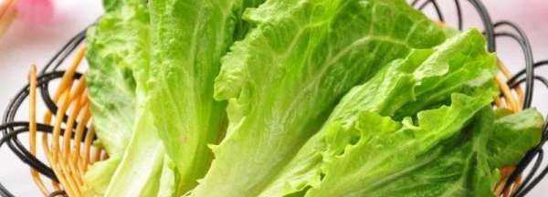 生菜上有鐵銹有黃斑能吃,蔬菜放久了發(fā)黃能吃嗎圖3