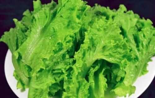 生菜葉片出現(xiàn)銹狀斑點(diǎn)能吃嗎