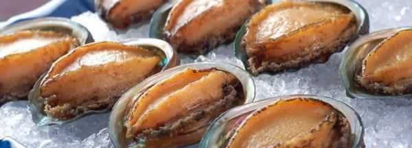 鮑魚可以凍么,鮑魚可以放在冰箱里冷凍嗎圖2