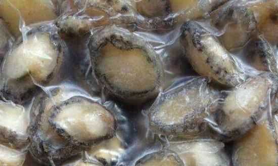 鮑魚可以凍么,鮑魚可以放在冰箱里冷凍嗎圖3