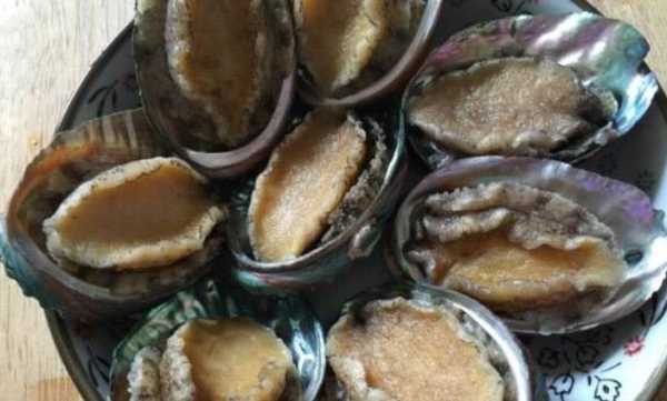 鮑魚可以凍么,鮑魚可以放在冰箱里冷凍嗎圖6